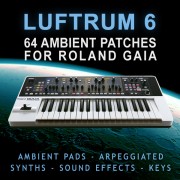 Luftrum 6 - Roland GAIA