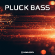  Pluck Bass