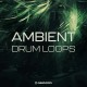  Ambient Drum Loops 