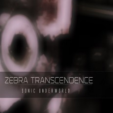Zebra-Transcendence