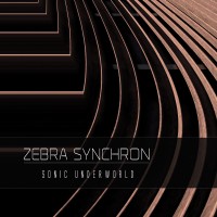 Zebra-Synchron