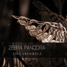 Zebra-Pandora