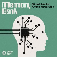 Memory Bank