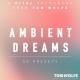 Ambient Dreams for Vital