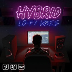 Hybrid Lo-fi Vibes
