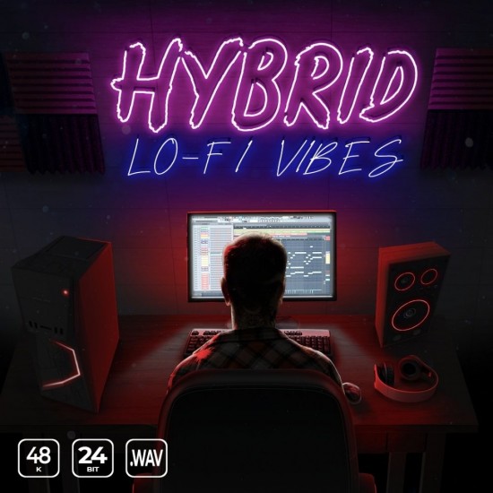 Hybrid Lo-fi Vibes